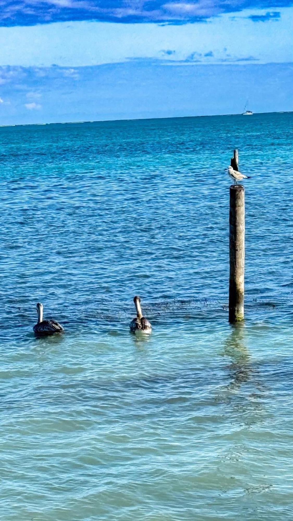 2b 2b Modern Centrally Located Ac Seafront Caye Caulker