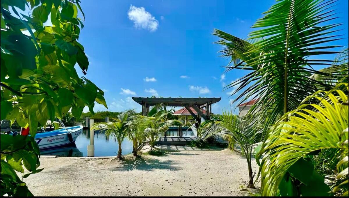 Shipwreck Cove Guest house Caye Caulker