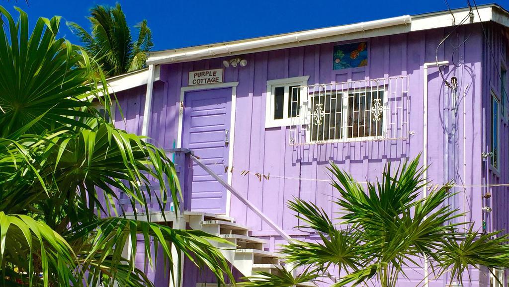 Hummingbirds * Caye Caulker