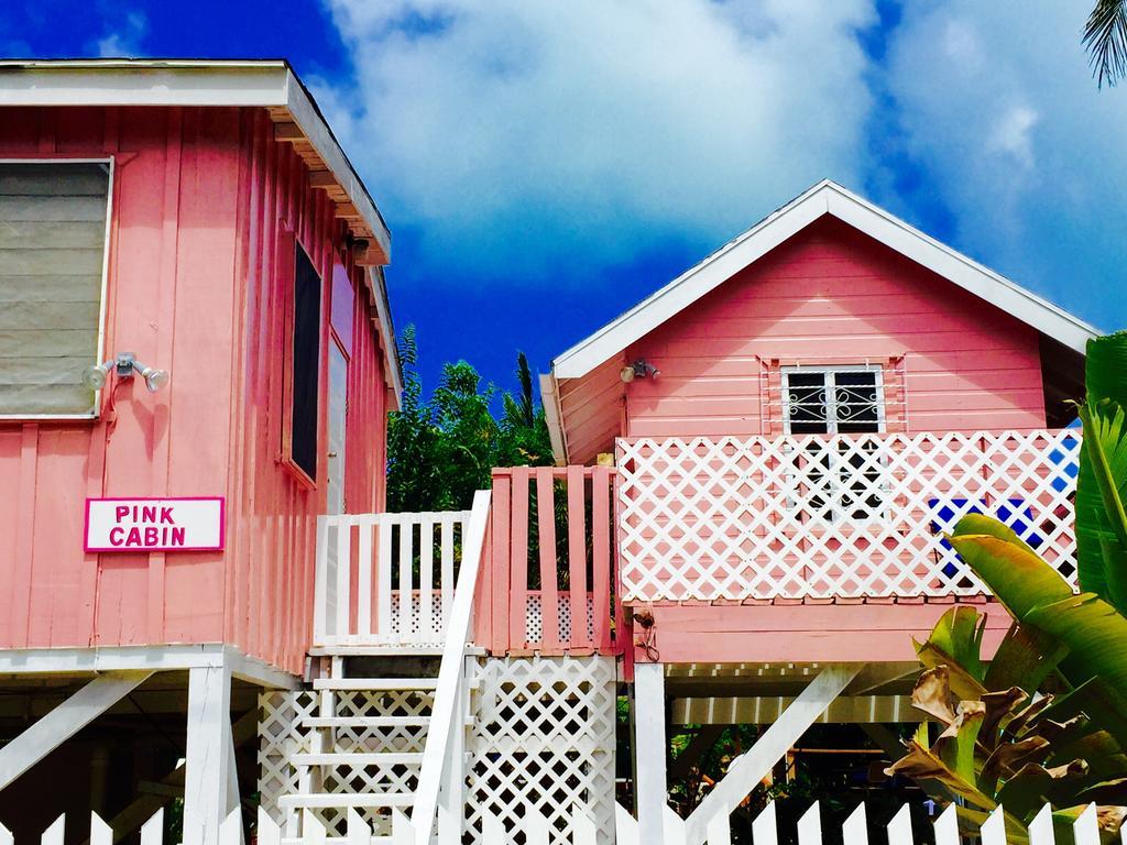 Hummingbirds * Caye Caulker