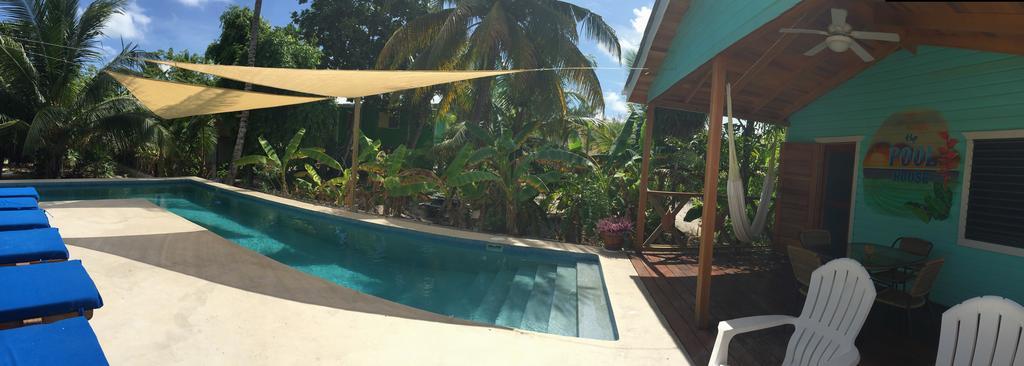 Hummingbirds Villa *