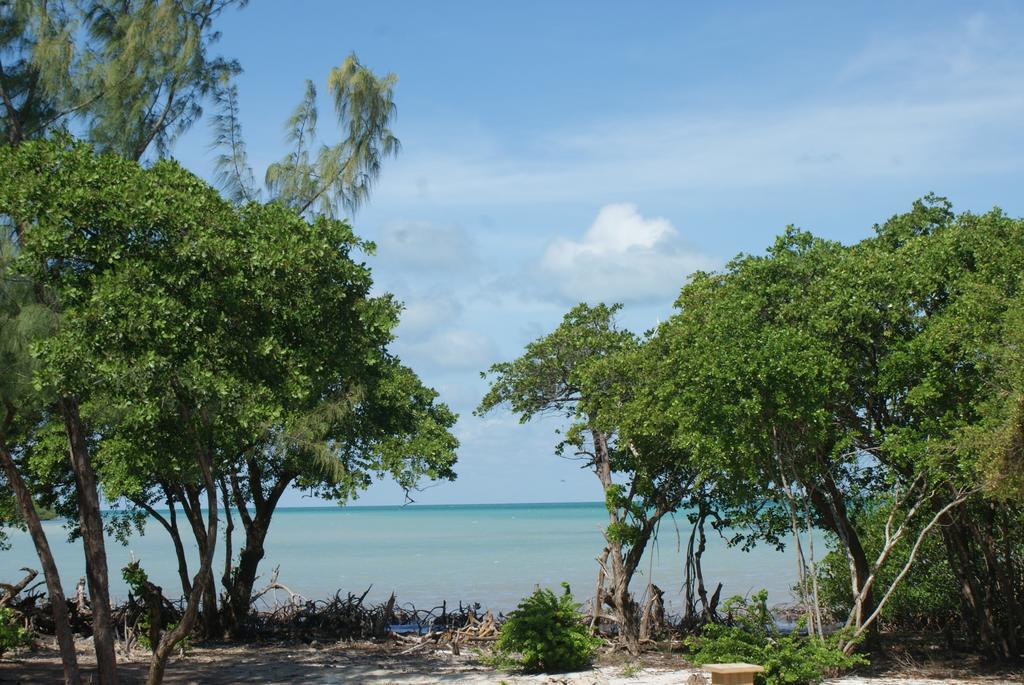 Bonita's Caye Caulker