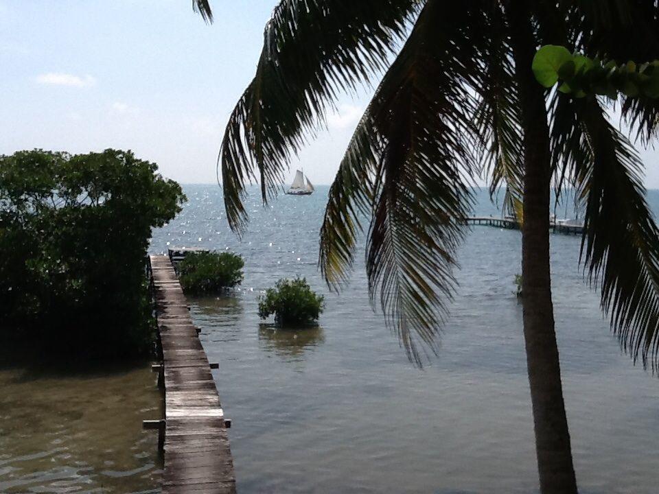 Coconut Grove Country house *