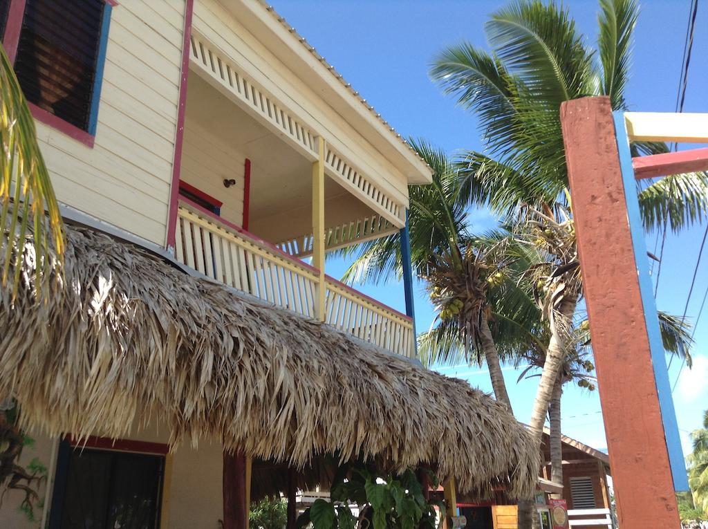 De Real Macaw Caye Caulker