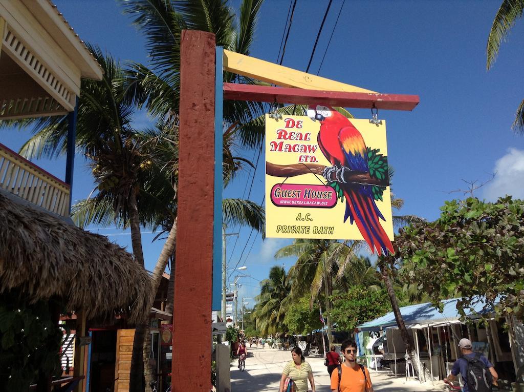 Guest house De Real Macaw Caye Caulker