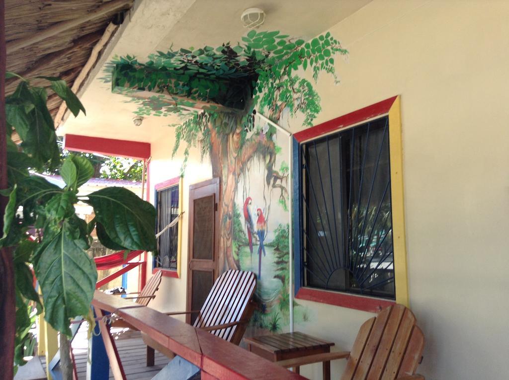 De Real Macaw Caye Caulker