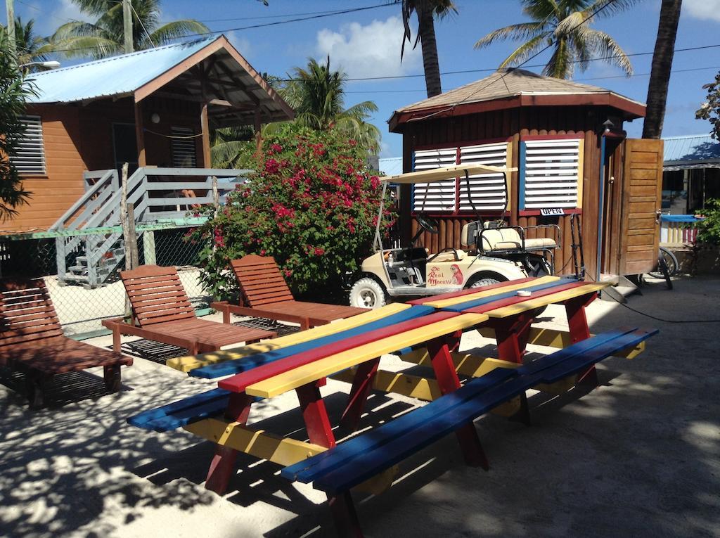 Guest house De Real Macaw