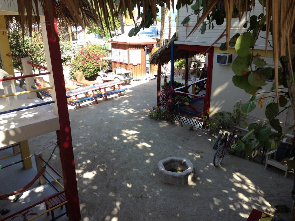 Guest house De Real Macaw *