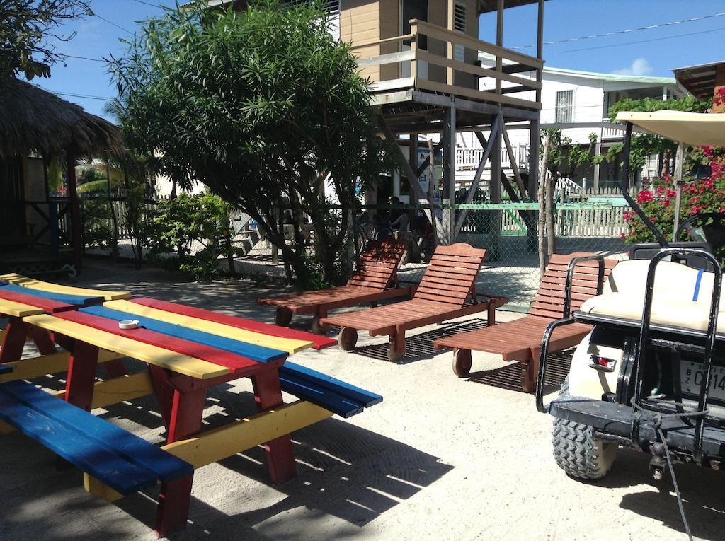 Guest house De Real Macaw