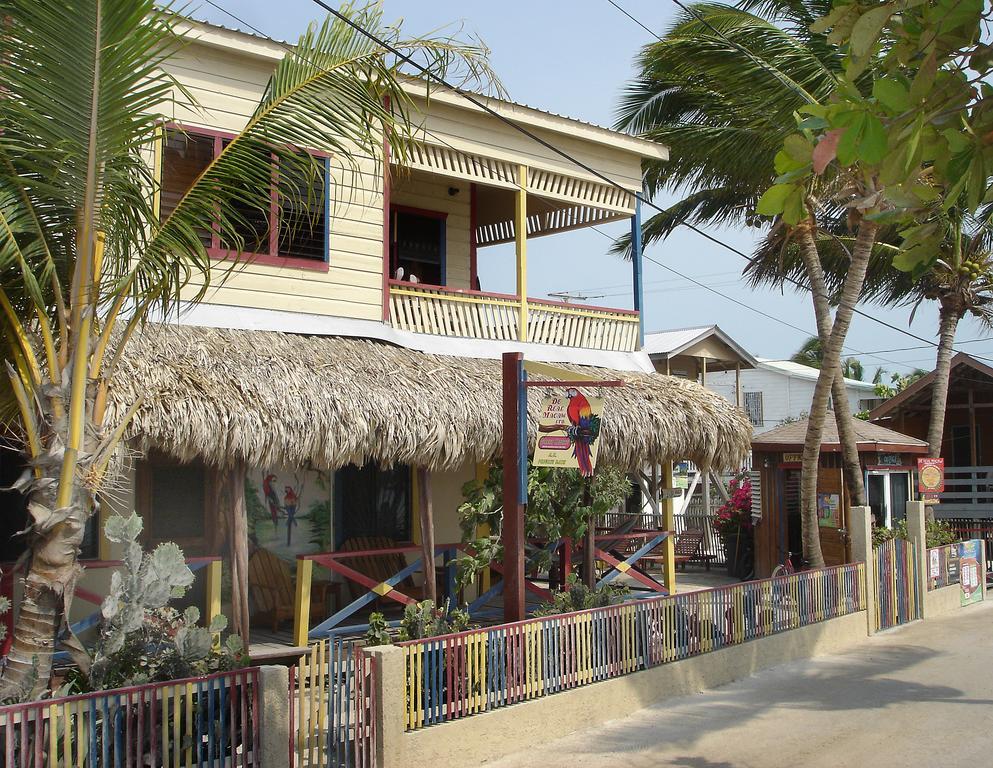 De Real Macaw Guest house *