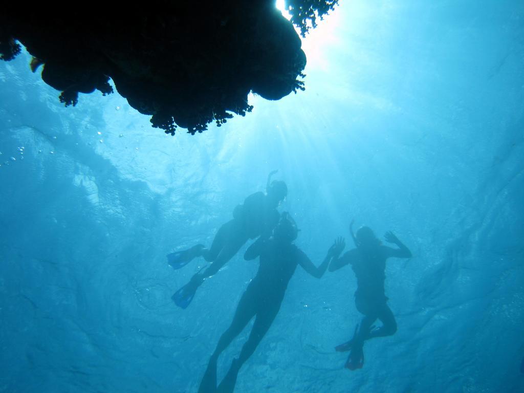 Villa Caye Reef