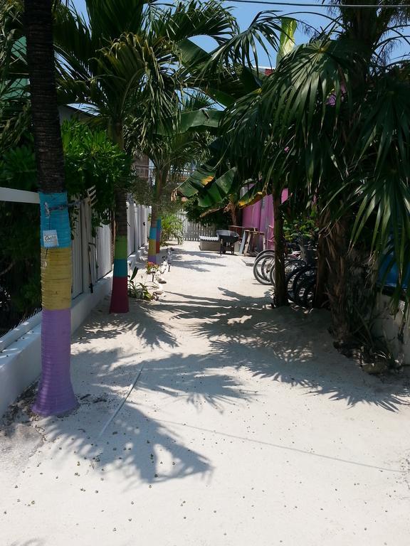 Sea N Sun Guest house Caye Caulker