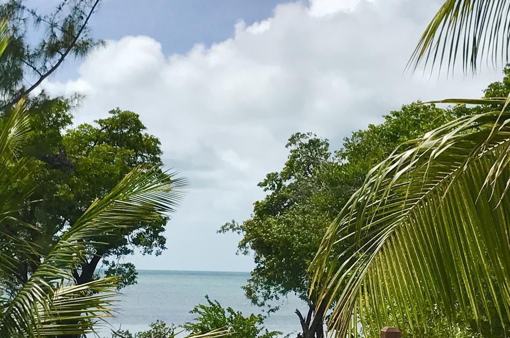 Bonita's * Caye Caulker
