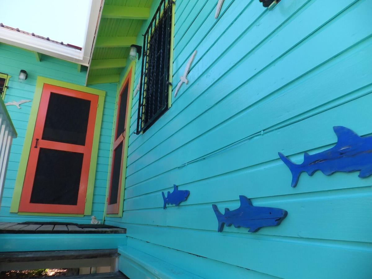 The Bottle Tree House Cayo Caulker