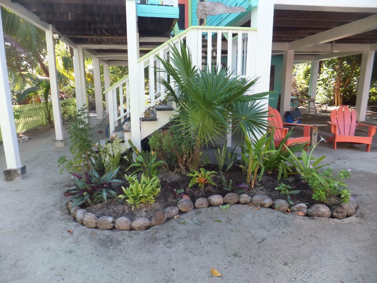 The Bottle Tree House Cayo Caulker