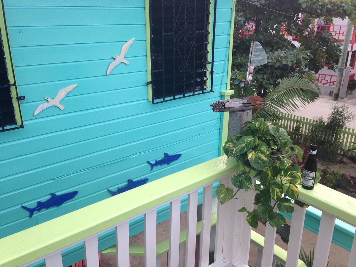 The Bottle Tree House * Cayo Caulker