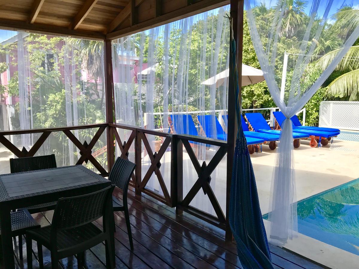 Villa Hummingbirds