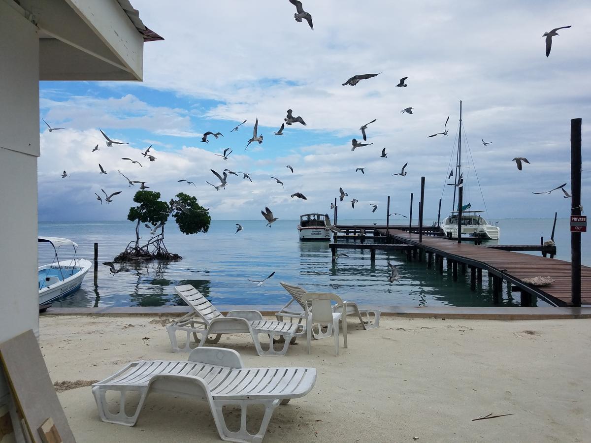 The Beach Club Resort At Caye Caulker 3* Caye Caulker