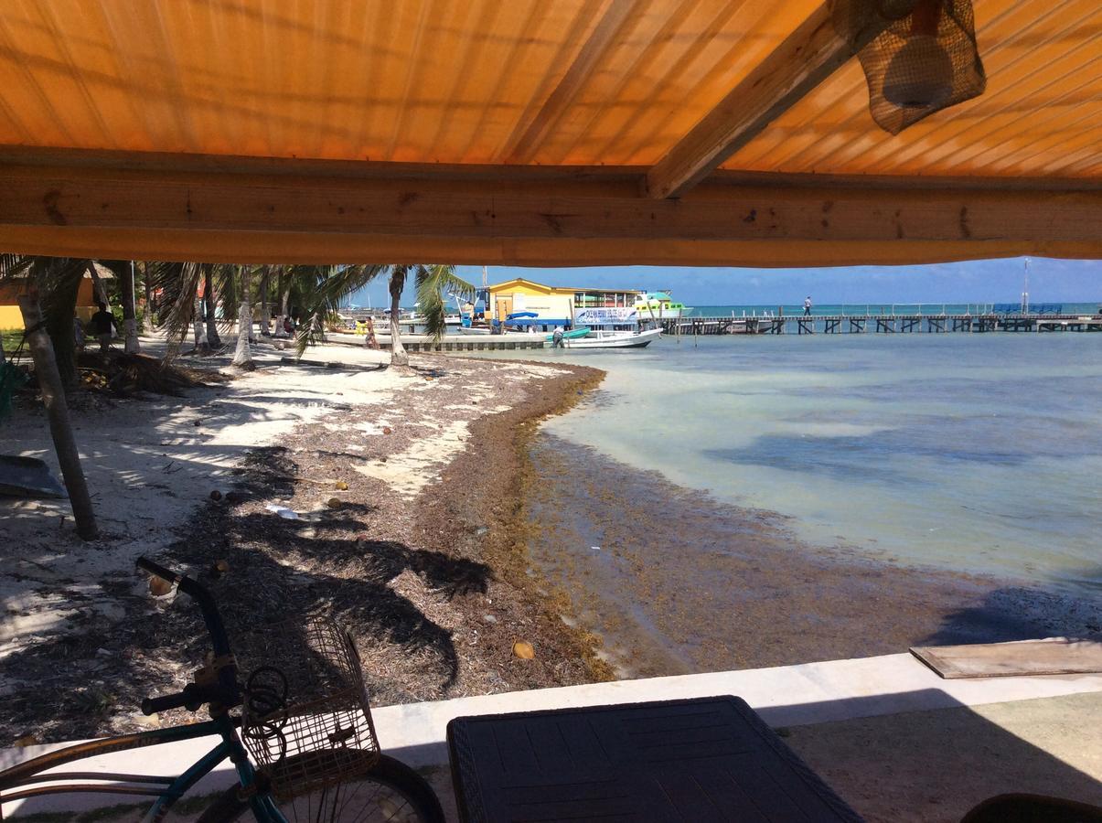 Hotel The Beach Club Resort At Caye Caulker Caye Caulker