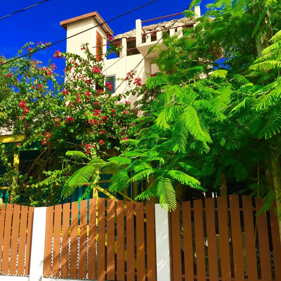 Bed & Breakfast Yocamatsu