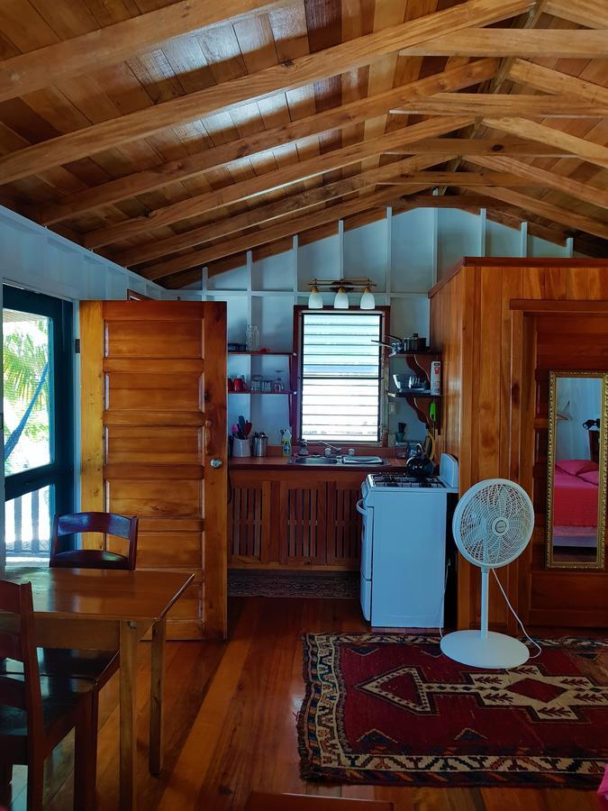 Carolyn's House