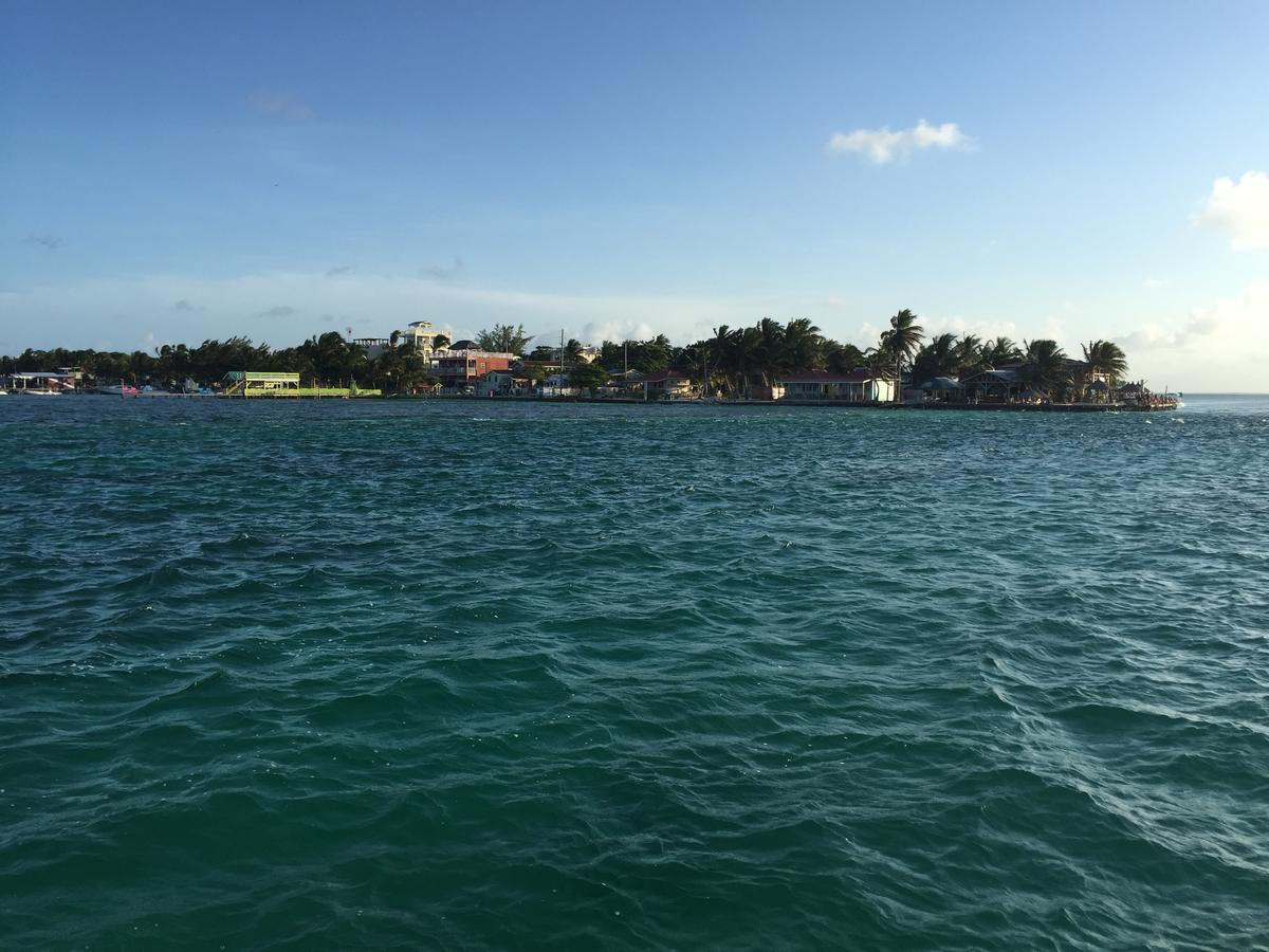 Blue Wave Hotel Caye Caulker