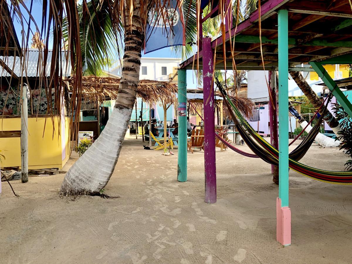 Hostel Tropical Oasis *