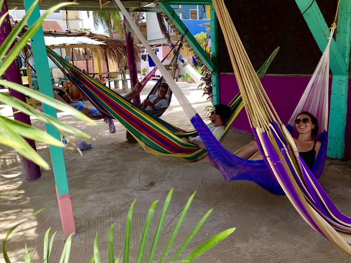 Tropical Oasis Hostel
