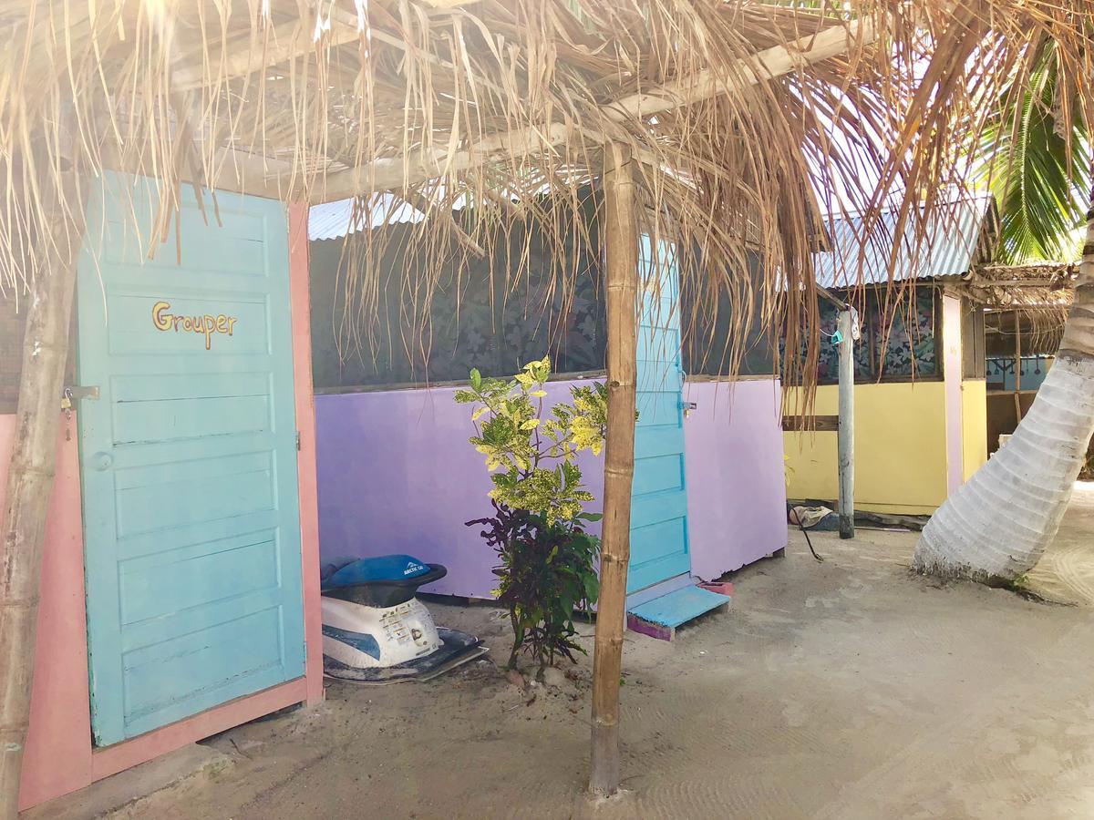 Hostel Tropical Oasis