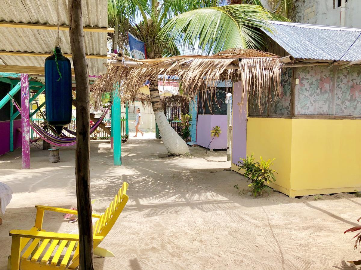 Tropical Oasis Hostel