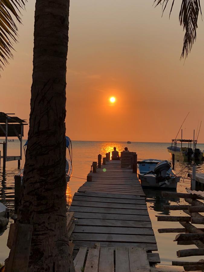 Tropical Oasis * Caye Caulker