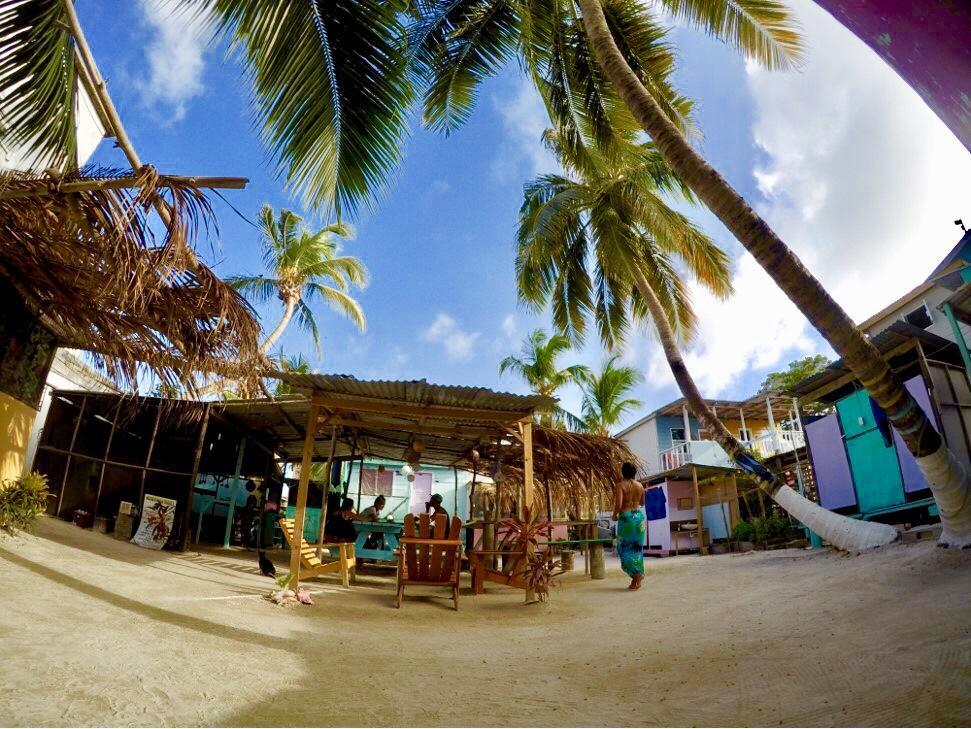 Tropical Oasis Hostel