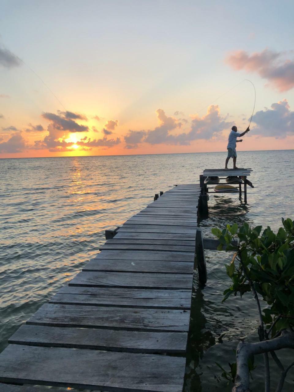 Coconut Grove * Caye Caulker