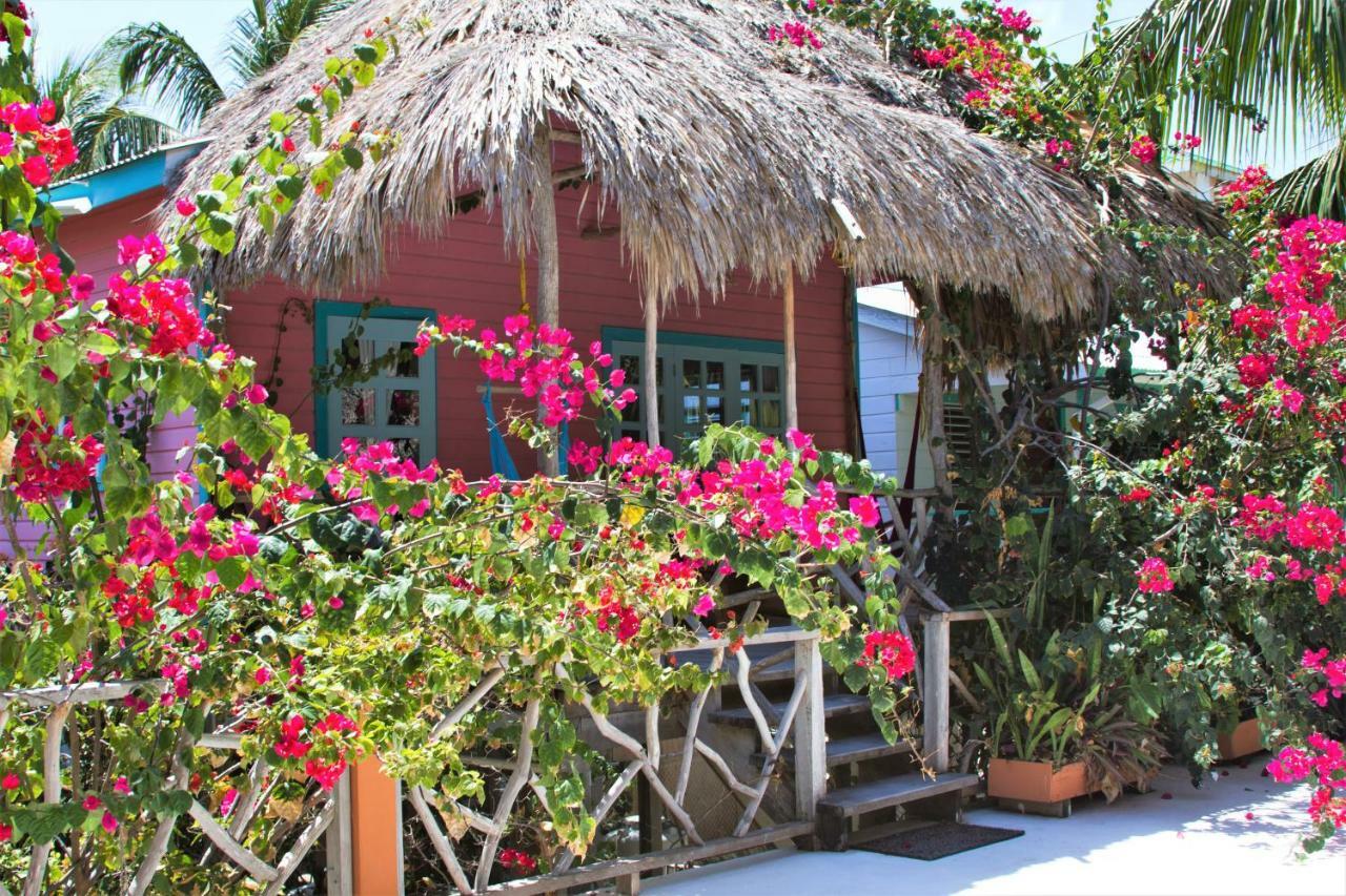 Sea Dreams Hotel Caye Caulker