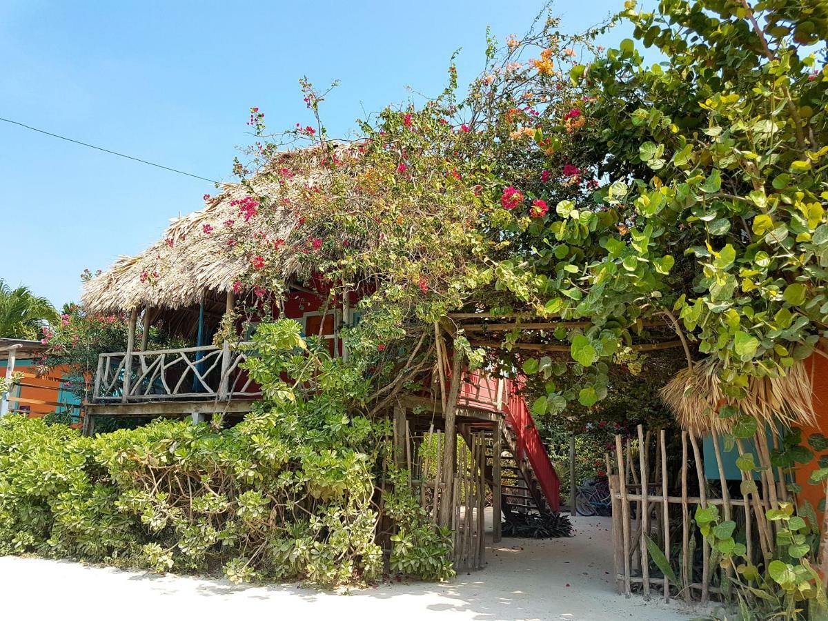 Hotel Sea Dreams Caye Caulker