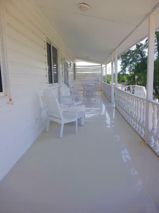 The French Lady * Caye Caulker