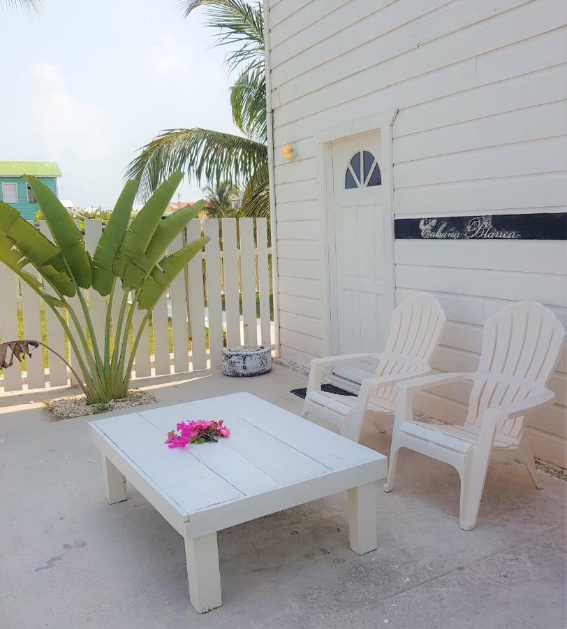 The French Lady Caye Caulker