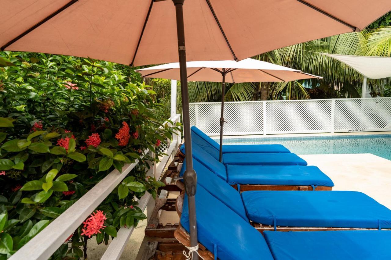 Villa Hummingbirds Caye Caulker