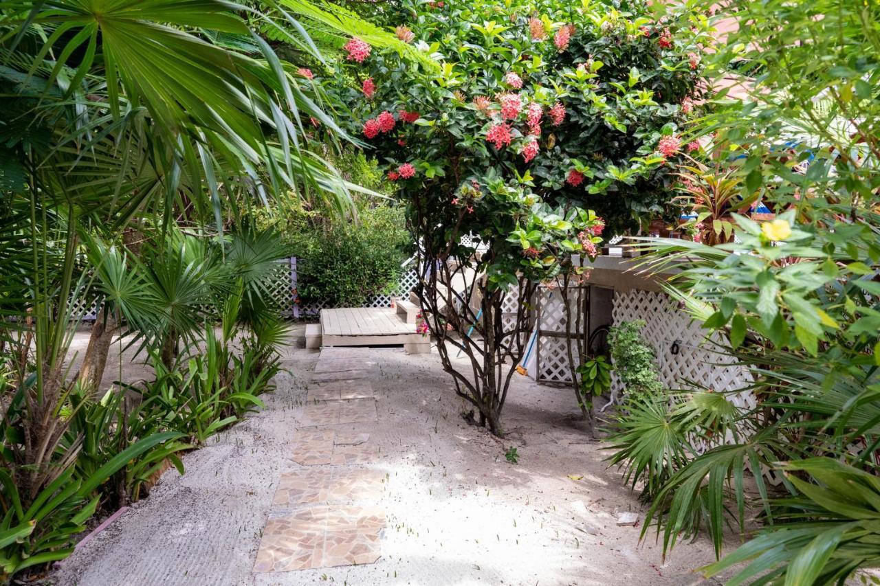 Villa Hummingbirds Caye Caulker