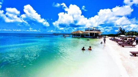 The Lily Pad Caye Caulker