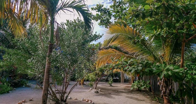 The Tranquila Caye Casa de férias Caye Caulker