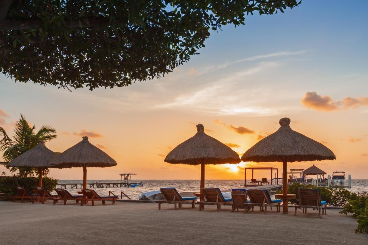 Hotel Weezie's Ocean Front And Garden Caye Caulker