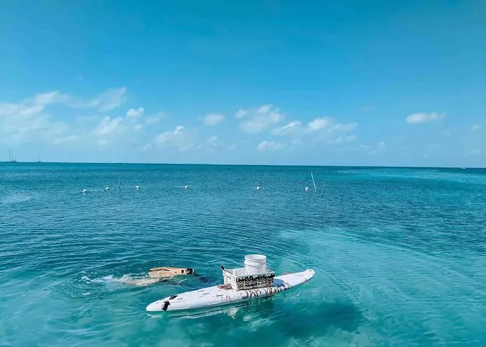 Vacation Home Blue Lotus
