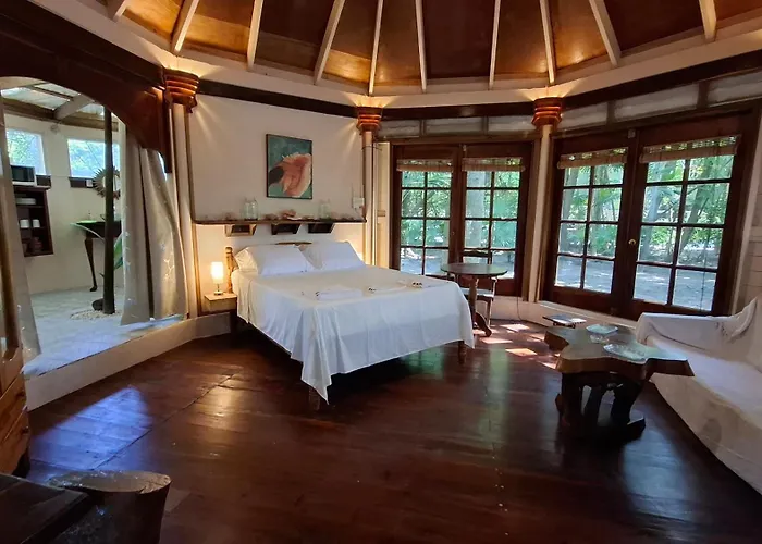 Jungle Cocoon