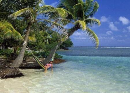 Axios Sun * Caye Caulker