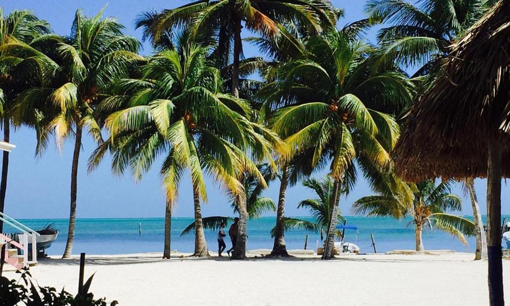 Axios Sun Caye Caulker