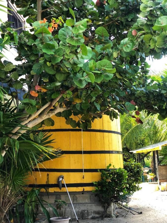 Guest house The Novelo *
