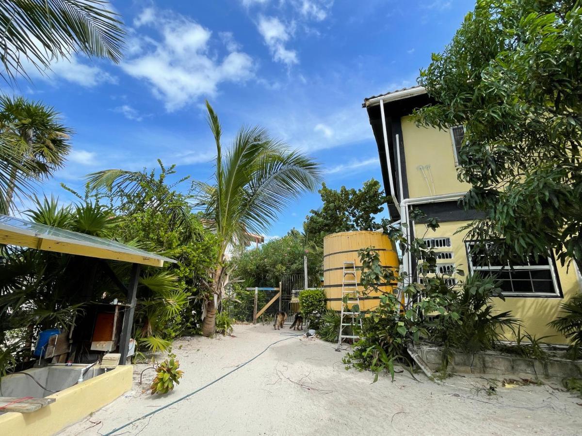 Guest house The Novelo Caye Caulker