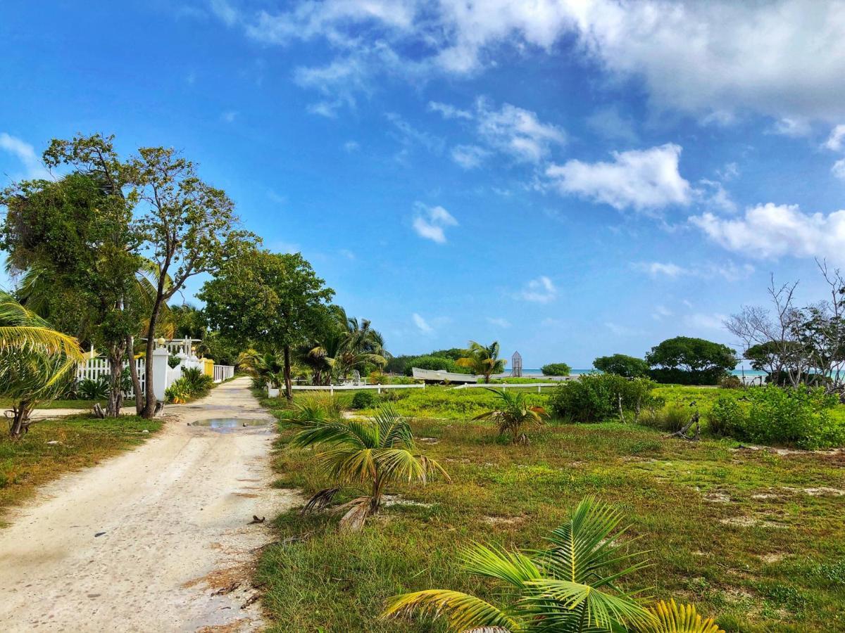 The Novelo * Caye Caulker