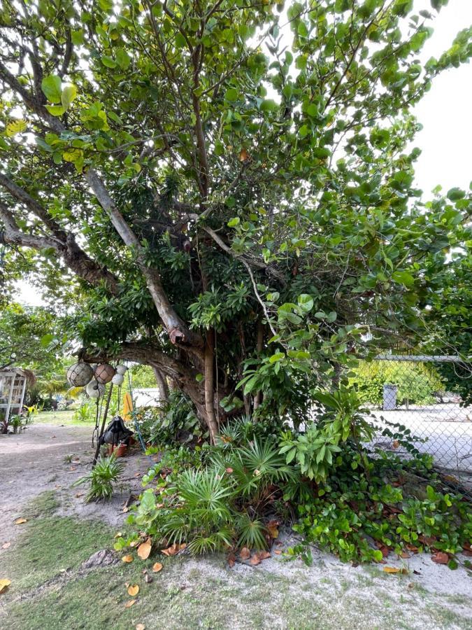 The Novelo Guest house